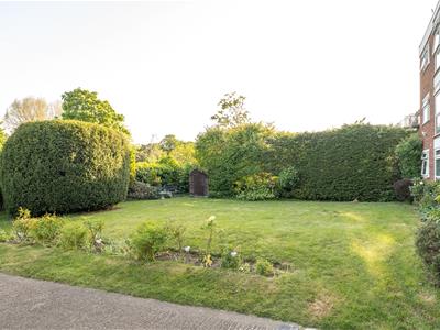 Picture 28